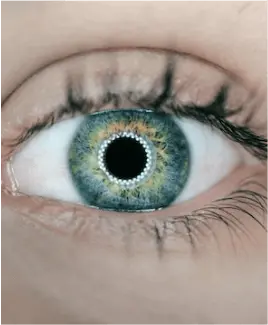 How Untreated Eye Conditions Can Affect You