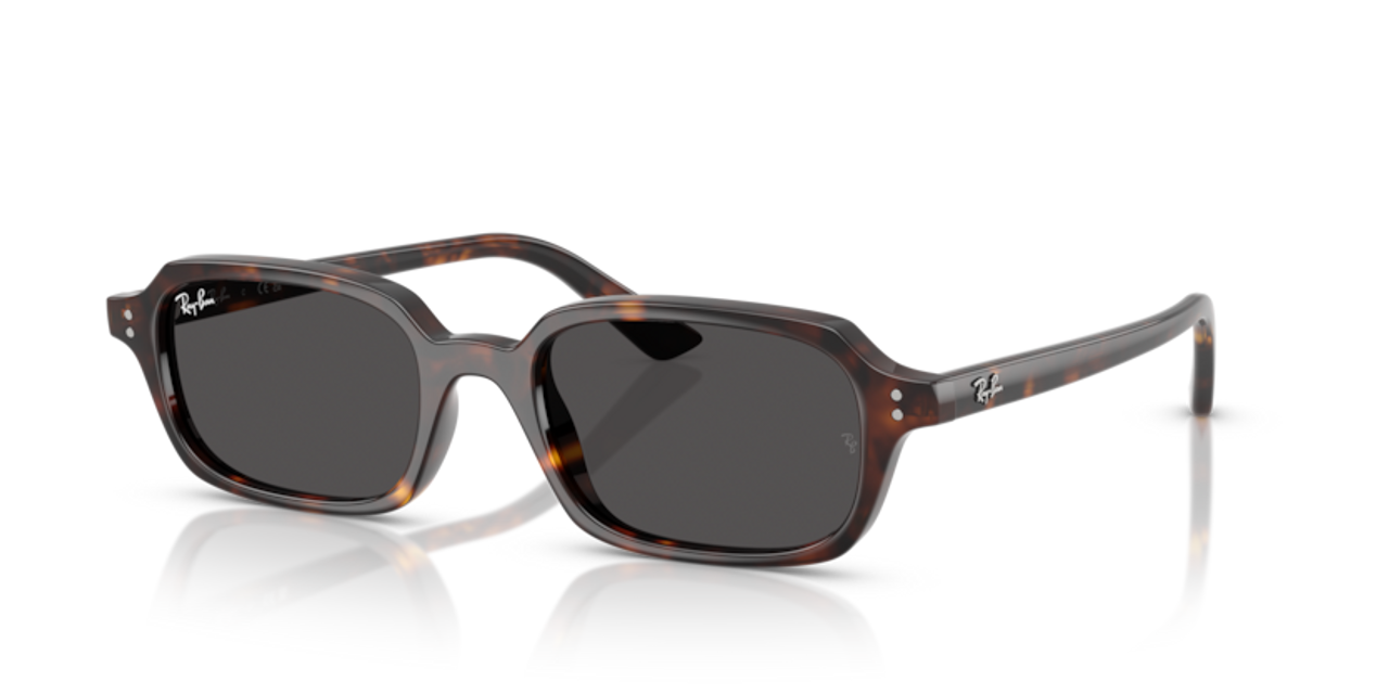 Shop for Ray-Ban 0RB4455F Zuri