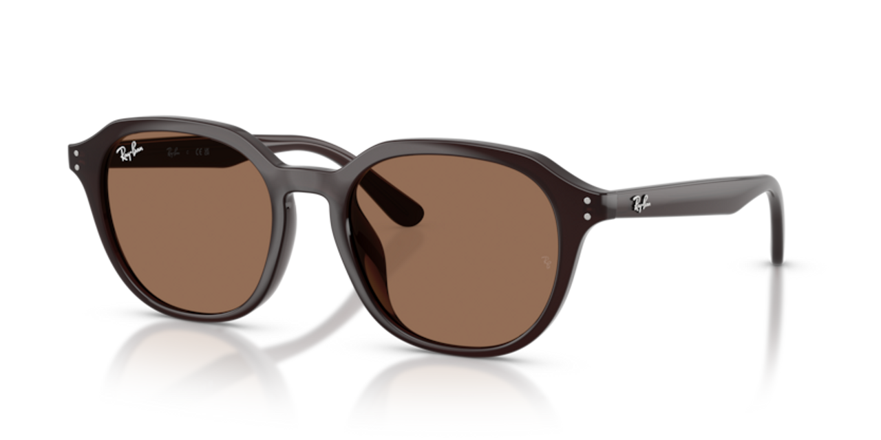 Shop for Ray-Ban 0RB4459D
