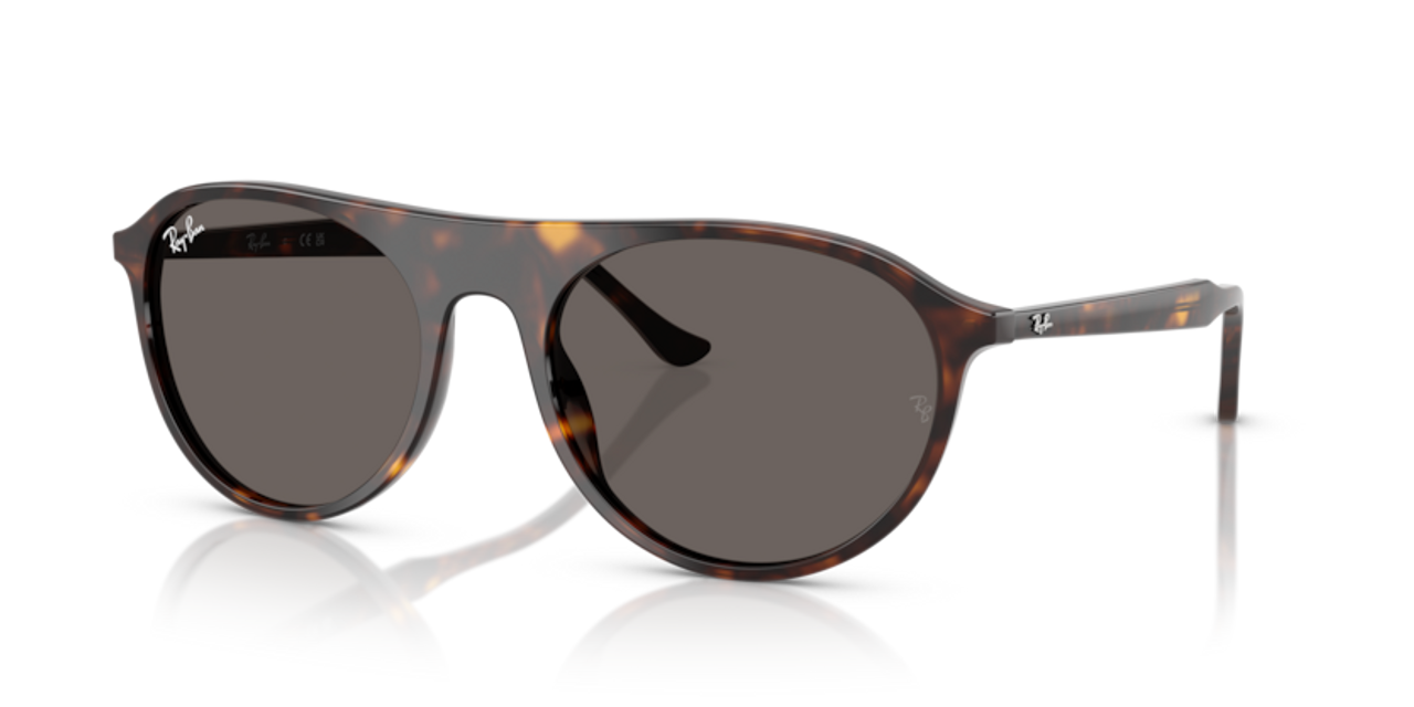 Shop for Ray-Ban 0RB2215F