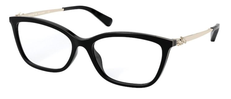 Shop for Coach 0HC6146U