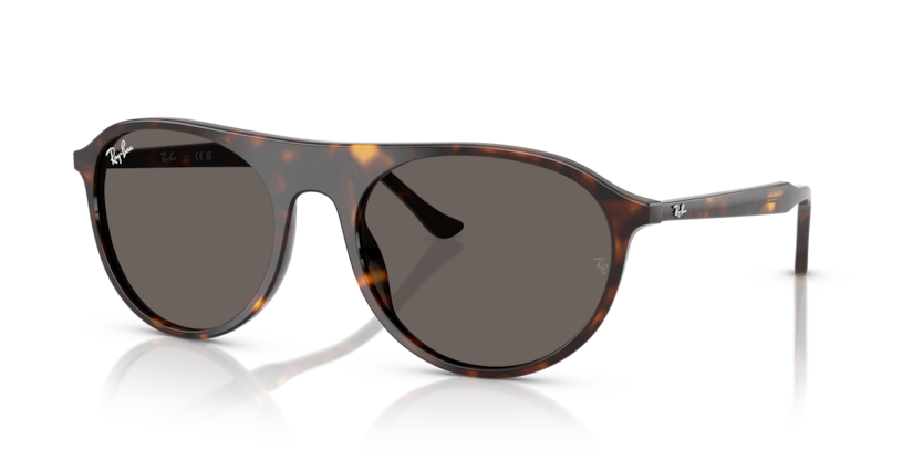 Shop for Ray-Ban 0RB2215F