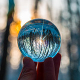 The Symbolism and Appeal of Wearing Glasses