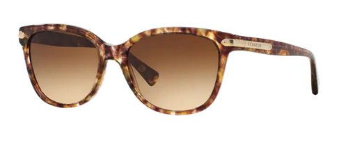 Coach 0HC8132 Product Image
