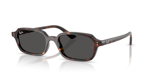 Ray-Ban 0RB4455F Zuri Product Image