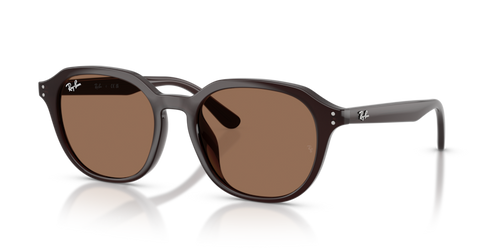 Ray-Ban 0RB4459D Product Image