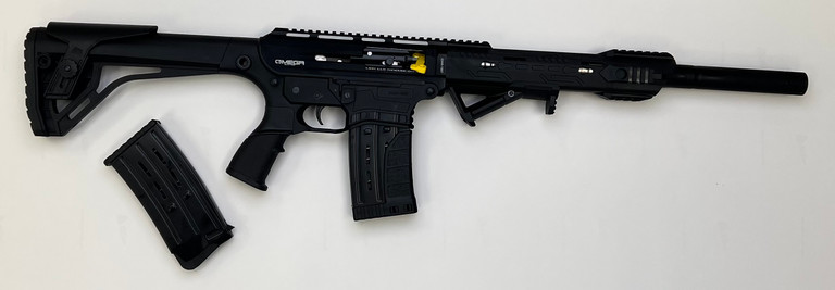 LKCI Omega AR12