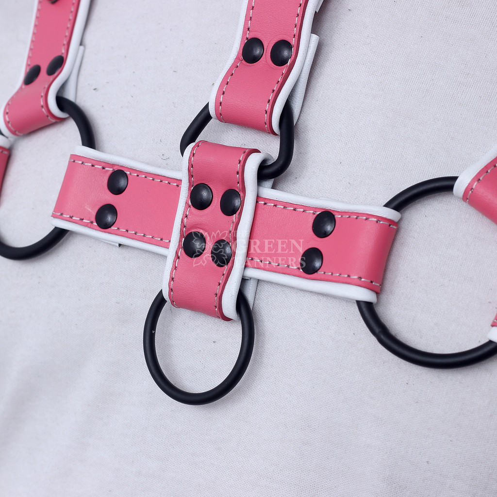 CLosedup of  Handmade Leather Harness and Muzzle Gag CLosedup of  Handmade Leather Harness and Muzzle Gag