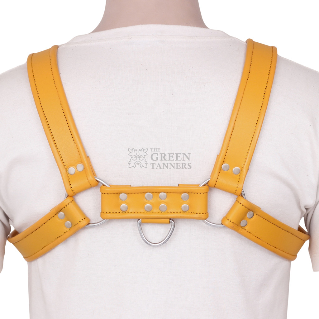 Stylish Gay Mens Leather Harness - Back View Stylish Gay Mens Leather Harness - Back View