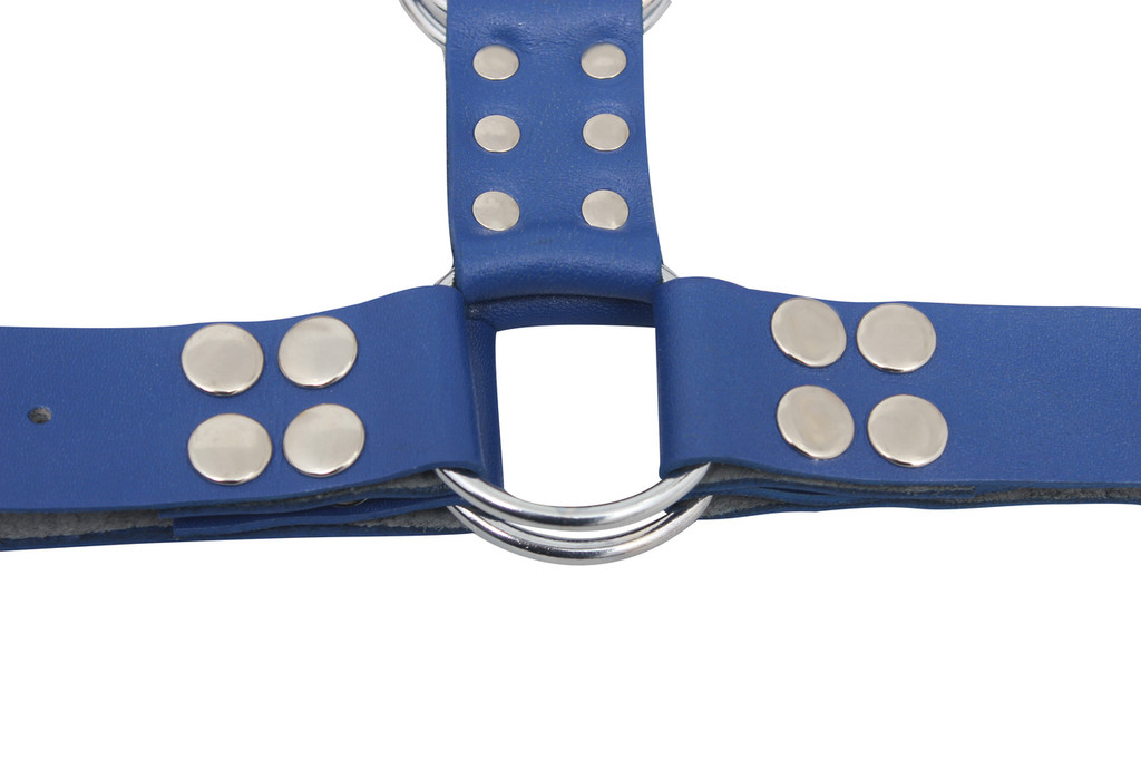 leather bondage chest harness, leather harness