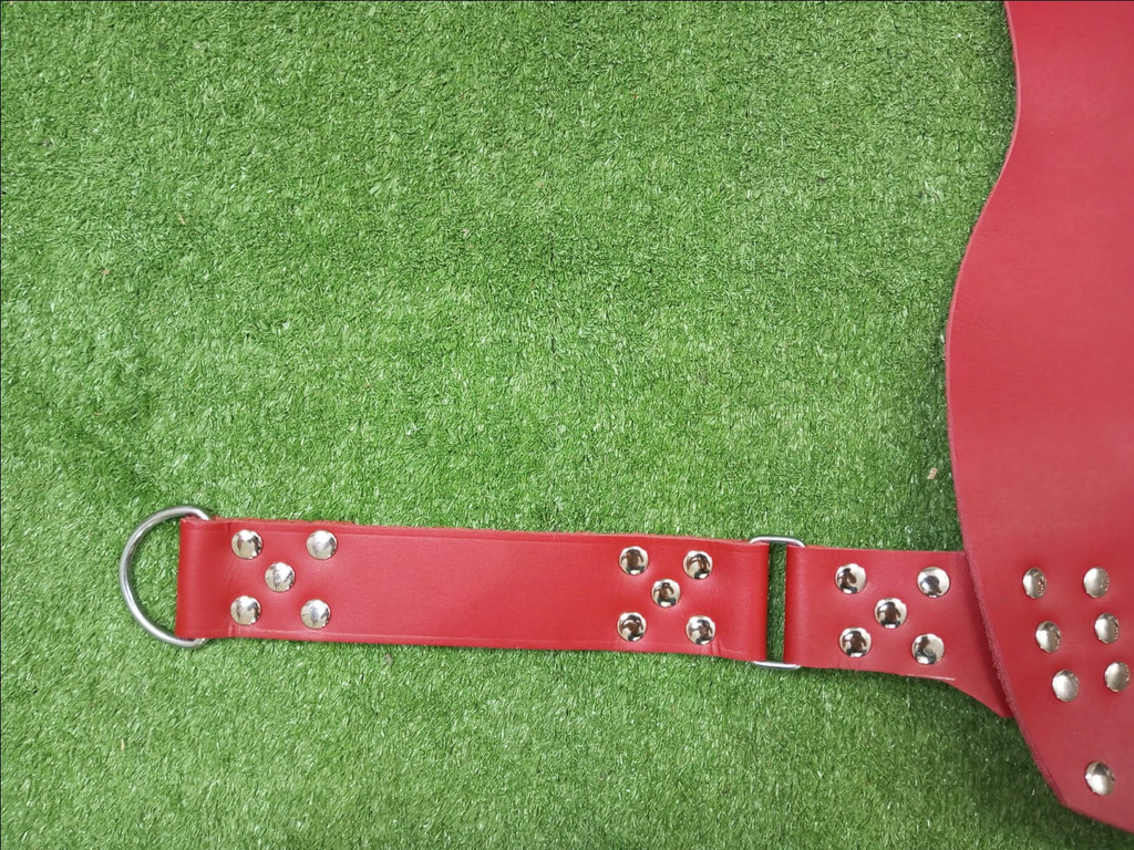 Red Leather Sex Sling Ring View