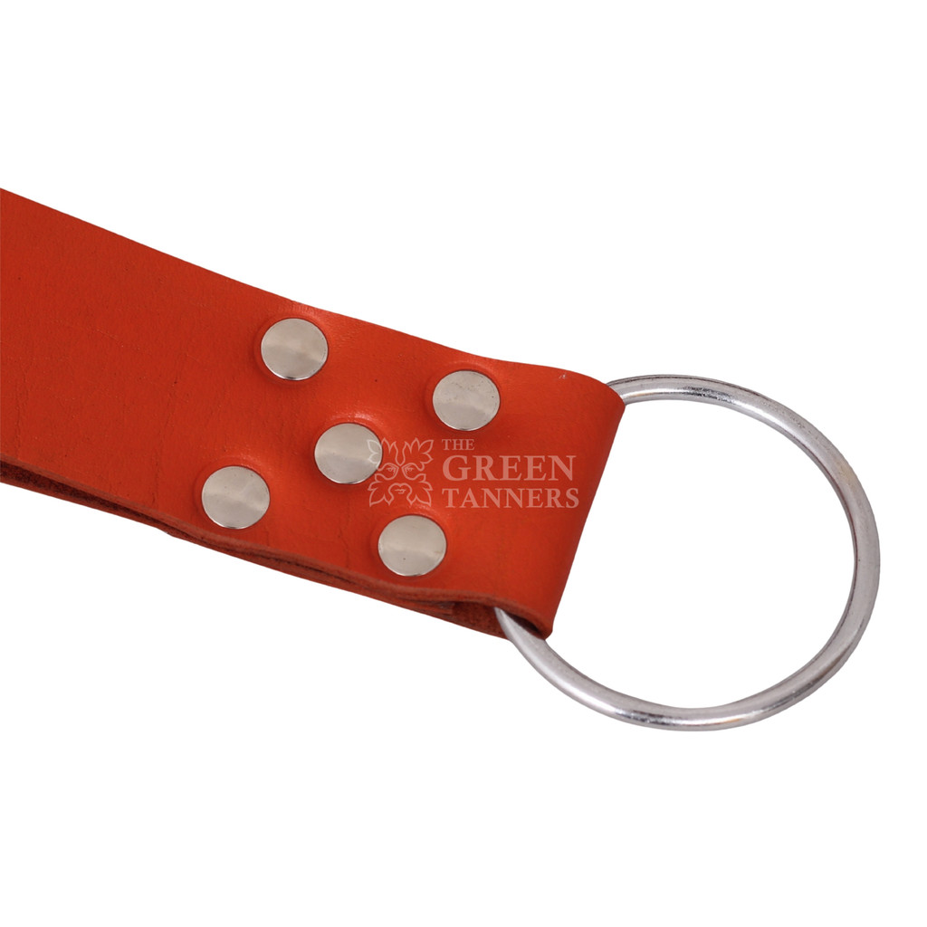 six point leather swing with leg loop -  front  view, leather swing, leather sex swing, leather sex sling, leather bondage sex sling