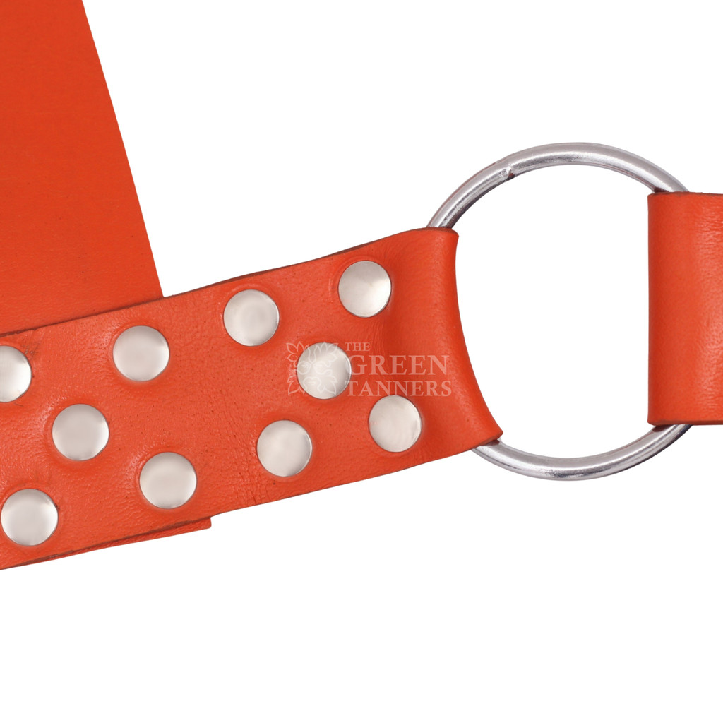 six point leather swing with leg loop -  front  view, leather swing, leather sex swing, leather sex sling, leather bondage sex sling