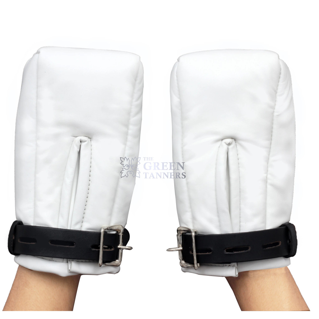 mitten restraint mitten restraint