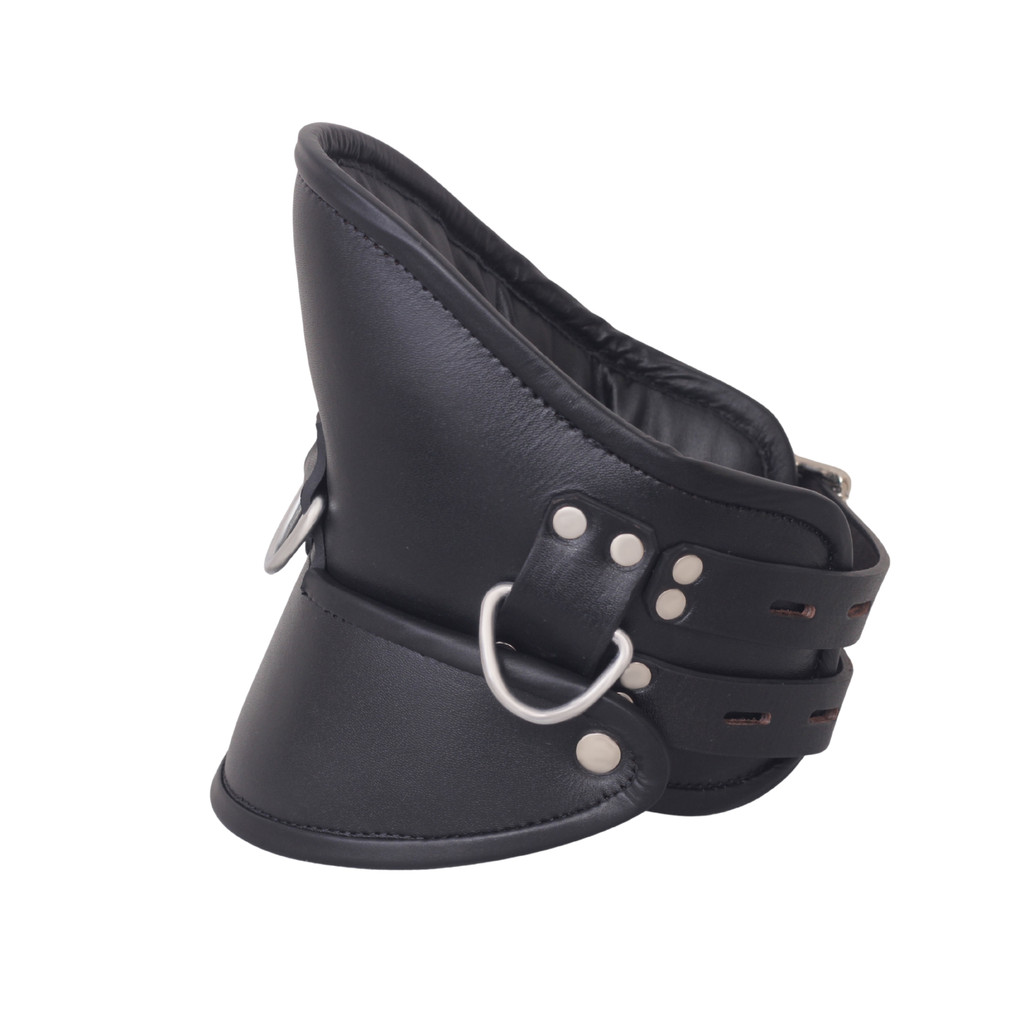 Leather Posture Collar With Locking Buckles - Main Image