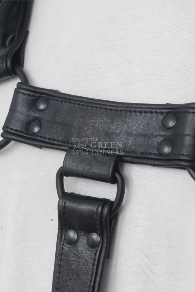 Sleek & Stylish Jockstrap with Harness Sleek & Stylish Jockstrap with Harness