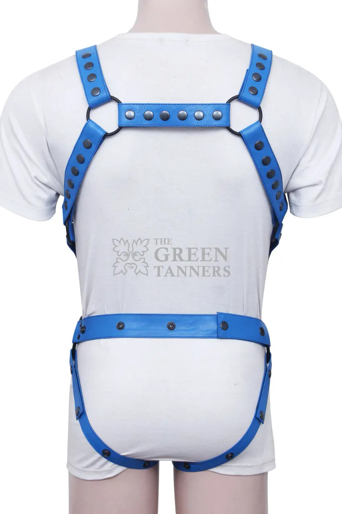 gay leather jockstrap harness, leather harness