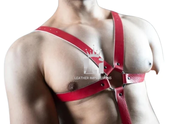leather harness with cock ring