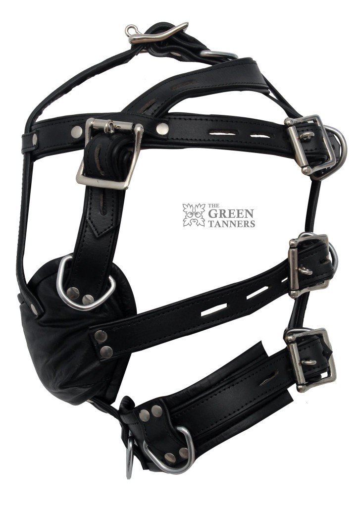 Front Image of stylish Harness Muzzle Gag Front Image of stylish Harness Muzzle Gag