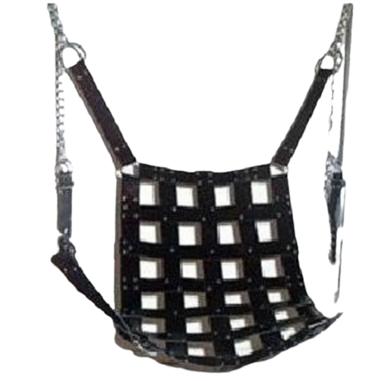 BDSM Net Leather Swing pic picture