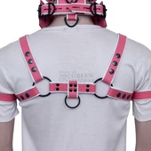 leather face muzzle, leather bdsm muzzle, leather head harness, leather harness