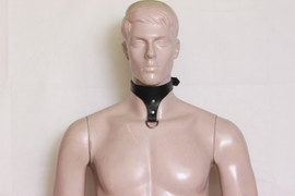 bdsm poster collar bdsm poster collar
