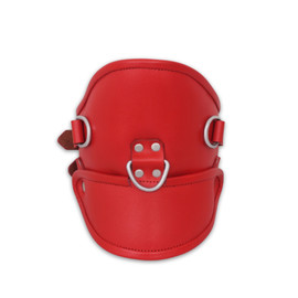 Leather Posture Collar With Locking Buckles - Main Image