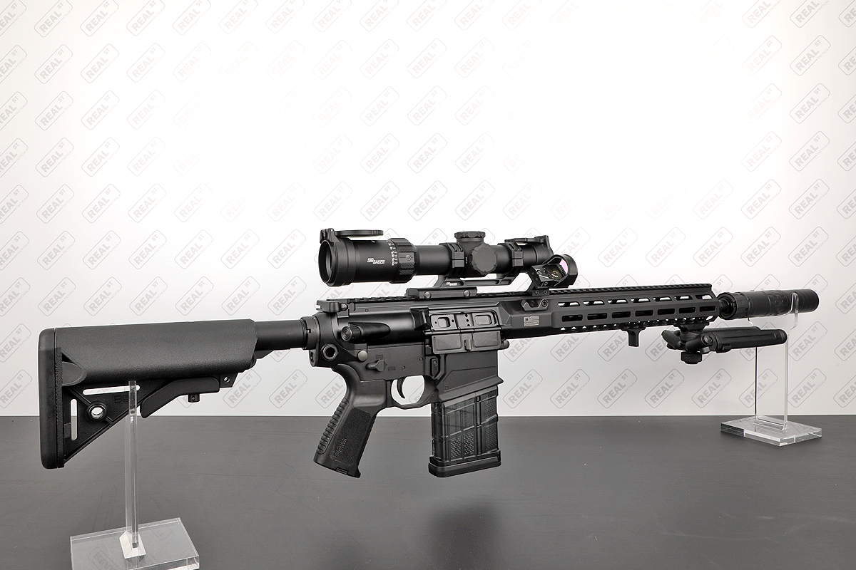 Build Recipe 11 - Sig Sauer 716I AR10 Battle Rifle