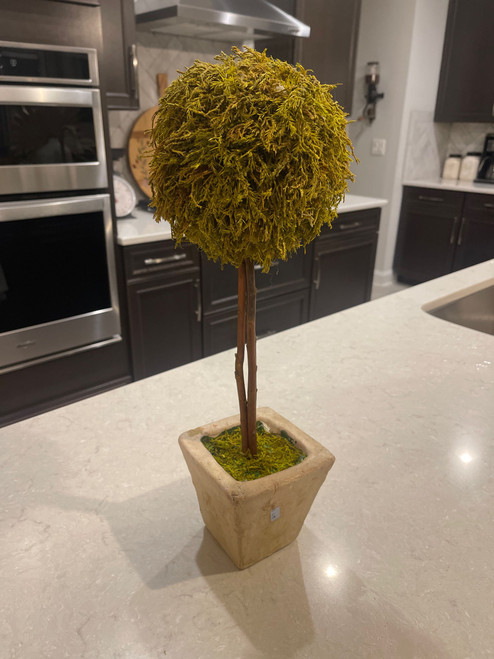 BALL TOPIARY IN STONE PLANTER