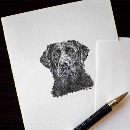 Black Lab Note Cards