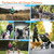 Hands Free Dog Leash with Waist Bag for Walking Small Medium Large Dogs;  Reflective Bungee Leash with Car Seatbelt Buckle and Dual Padded Handles;  Adjustable Waist Belt Hands Free Dog Leash with Waist Bag for Walking Small Medium Large Dogs;  Reflective Bungee Leash with Car Seatbelt Buckle and Dual Padded Handles;  Adjustable Waist Belt