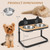 Elevated Pet Feeder with 2 Stainless Steel Bowls for Cats and Small and Medium Dogs Elevated Pet Feeder with 2 Stainless Steel Bowls for Cats and Small and Medium Dogs