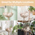 MewooFun Cat Hammock Macrame Hanging Swing Cat Bed Basket with Cotton Mat Indoor MewooFun Cat Hammock Macrame Hanging Swing Cat Bed Basket with Cotton Mat Indoor