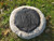 Cat Bed Round Soft Plush Burrowing Cave Hooded Cat Bed Donut for Dogs & Cats, Faux Fur Cuddler Round Comfortable Self Warming pet Bed, Machine Washable Cat Bed Round Soft Plush Burrowing Cave Hooded Cat Bed Donut for Dogs & Cats, Faux Fur Cuddler Round Comfortable Self Warming pet Bed, Machine Washable