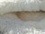 Cat Bed Round Soft Plush Burrowing Cave Hooded Cat Bed Donut for Dogs & Cats, Faux Fur Cuddler Round Comfortable Self Warming pet Bed, Machine Washable Cat Bed Round Soft Plush Burrowing Cave Hooded Cat Bed Donut for Dogs & Cats, Faux Fur Cuddler Round Comfortable Self Warming pet Bed, Machine Washable