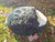 Cat Bed Round Soft Plush Burrowing Cave Hooded Cat Bed Donut for Dogs & Cats, Faux Fur Cuddler Round Comfortable Self Warming pet Bed, Machine Washable Cat Bed Round Soft Plush Burrowing Cave Hooded Cat Bed Donut for Dogs & Cats, Faux Fur Cuddler Round Comfortable Self Warming pet Bed, Machine Washable