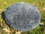 Cat Bed Round Soft Plush Burrowing Cave Hooded Cat Bed Donut for Dogs & Cats, Faux Fur Cuddler Round Comfortable Self Warming pet Bed, Machine Washable Cat Bed Round Soft Plush Burrowing Cave Hooded Cat Bed Donut for Dogs & Cats, Faux Fur Cuddler Round Comfortable Self Warming pet Bed, Machine Washable