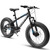 A20316 20 Inch Fat Tire Bike Adult/Youth Full Shimano 7 Speed Mountain Bike, Dual Disc Brake, High-Carbon Steel Frame, Front Suspension, Mountain Trail Bike, Urban Commuter City Bicycle,Fat tire bike A20316 20 Inch Fat Tire Bike Adult/Youth Full Shimano 7 Speed Mountain Bike, Dual Disc Brake, High-Carbon Steel Frame, Front Suspension, Mountain Trail Bike, Urban Commuter City Bicycle,Fat tire bike