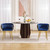 Living Room Chairs,Velvet Makeup Vanity Chair with Back Arm Modern Bedroom Accent Chair Elegant Comfy Single upholstered Chair with Gold Metal Legs(2 SET) Living Room Chairs,Velvet Makeup Vanity Chair with Back Arm Modern Bedroom Accent Chair Elegant Comfy Single upholstered Chair with Gold Metal Legs(2 SET)