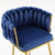 Living Room Chairs,Velvet Makeup Vanity Chair with Back Arm Modern Bedroom Accent Chair Elegant Comfy Single upholstered Chair with Gold Metal Legs(2 SET) Living Room Chairs,Velvet Makeup Vanity Chair with Back Arm Modern Bedroom Accent Chair Elegant Comfy Single upholstered Chair with Gold Metal Legs(2 SET)
