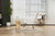 Rocking Chair Nursery, Solid Wood Legs Reading Chair with Teddy Fabric Upholstered , Nap Armchair for Living Rooms, Bedrooms, Offices, Best Gift,White Teddy fabric Rocking Chair Nursery, Solid Wood Legs Reading Chair with Teddy Fabric Upholstered , Nap Armchair for Living Rooms, Bedrooms, Offices, Best Gift,White Teddy fabric