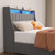 Queen Size Bed Frame with LED, 4 Under-bed Portable Storage Drawers, Wings Headboard Design, Light Grey Queen Size Bed Frame with LED, 4 Under-bed Portable Storage Drawers, Wings Headboard Design, Light Grey