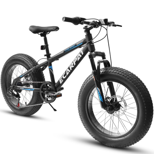 A20316 20 Inch Fat Tire Bike Adult/Youth Full Shimano 7 Speed Mountain Bike, Dual Disc Brake, High-Carbon Steel Frame, Front Suspension, Mountain Trail Bike, Urban Commuter City Bicycle,Fat tire bike A20316 20 Inch Fat Tire Bike Adult/Youth Full Shimano 7 Speed Mountain Bike, Dual Disc Brake, High-Carbon Steel Frame, Front Suspension, Mountain Trail Bike, Urban Commuter City Bicycle,Fat tire bike