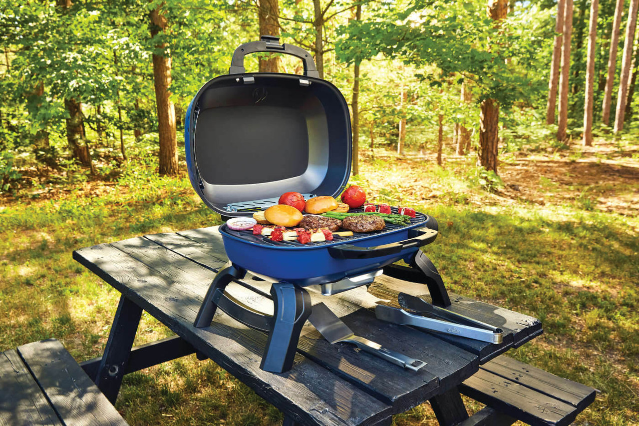 Napoleon TQ240-BL TravelQ 240 Portable Gas Grill - Compact & Powerful