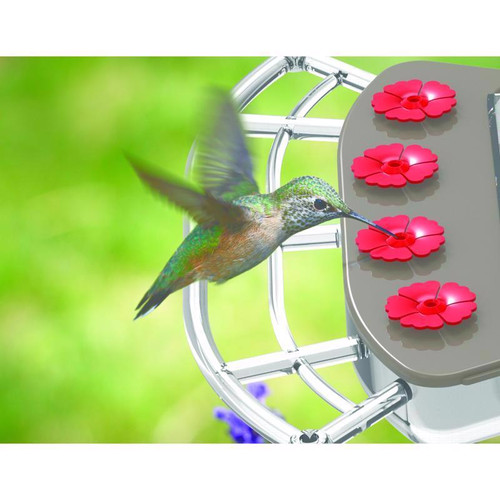 FEIT ELECTRIC Smart Camera Wild Bird 2.5 L Plastic Bird Feeder 1 ports