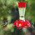 Perky-Pet Hummingbird 8 oz Glass/Plastic Nectar Feeder 4 ports