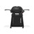 Weber Q 2800N+ w/Cart Liquid Propane Grill