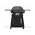 Weber Q 2800N+ w/Cart 2 Burner Liquid Propane Grill