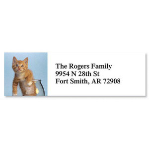 Kitty Kapers Classic Return Address Labels (6 Designs)