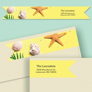 Pastel Sea Star Wrap Around Diecut Address Labels Pastel Sea Star Wrap Around Diecut Address Labels